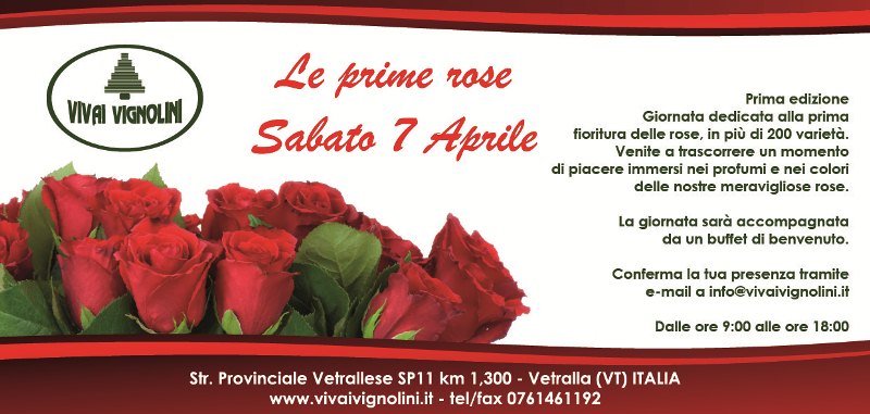 Giornata dedicata alla prima fioritura delle rose