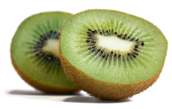 KIWI HAYWARD ACTINIDIA CHINENSIS (FEMMINA)